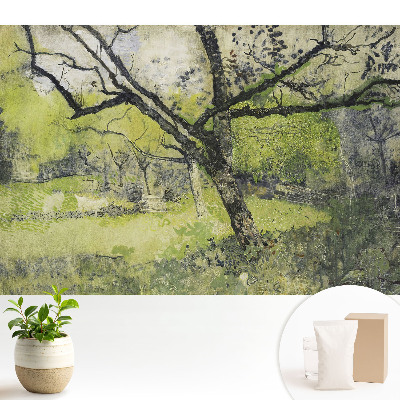 Dekor tapéta Zöld terület a park fájában