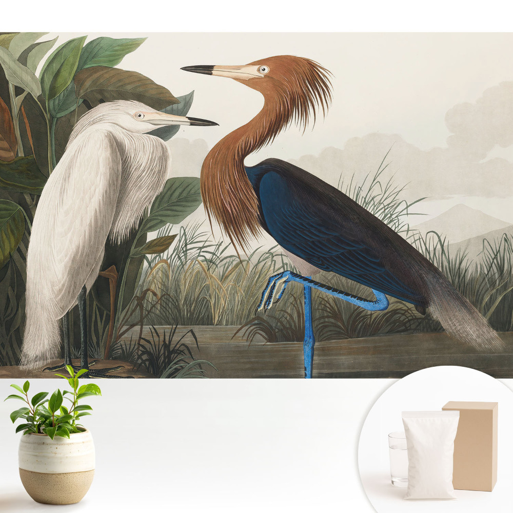 Tapéta Elegáns madarak a növényzetben