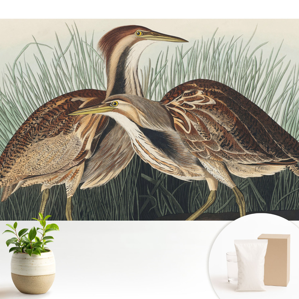 Modern tapéta Madarak a fűben Klasszikus realizmus Szimmetria