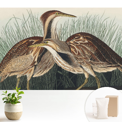 Modern tapéta Madarak a fűben Klasszikus realizmus Szimmetria