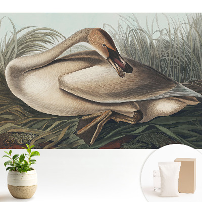 Dekor tapéta Klasszikus hattyú növényekkel a háttérben