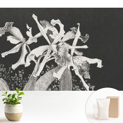 Dekor tapéta Elegáns virágok sötét háttér előtt