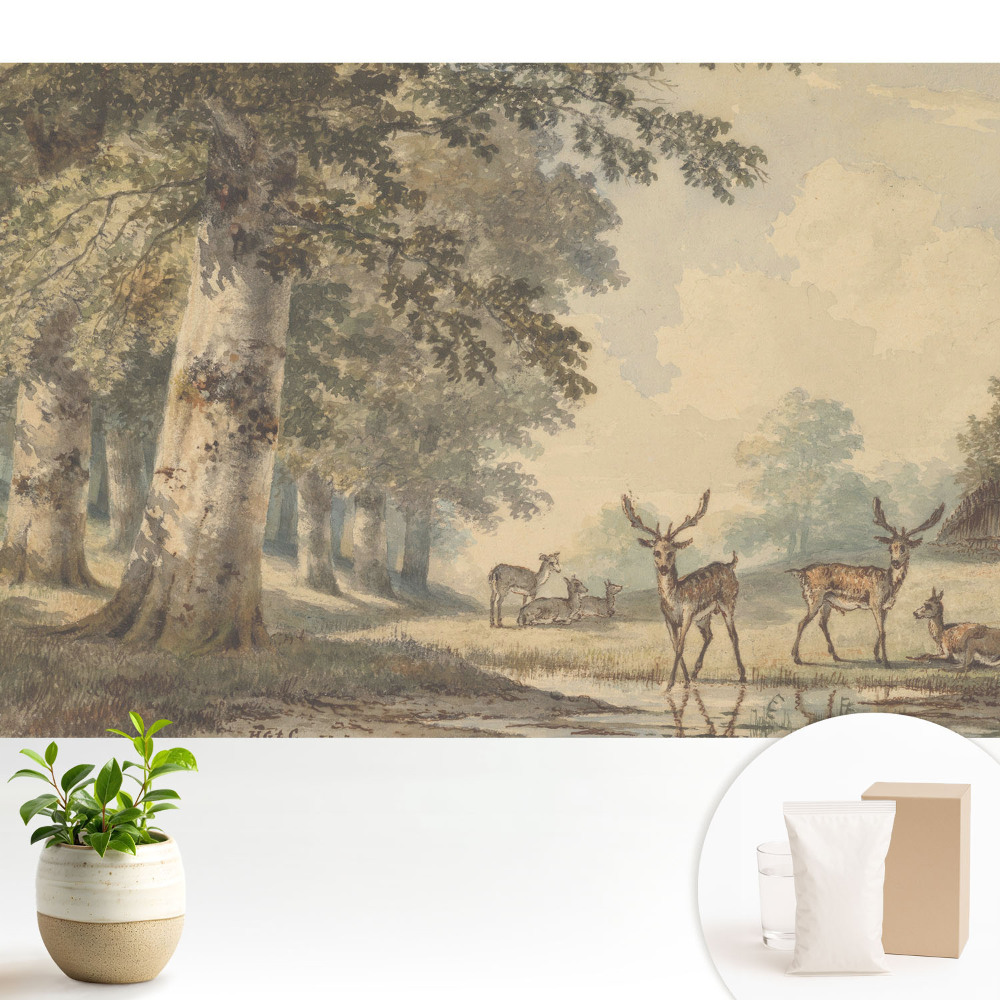 Modern tapéta Erdei szarvasok a patak mellett