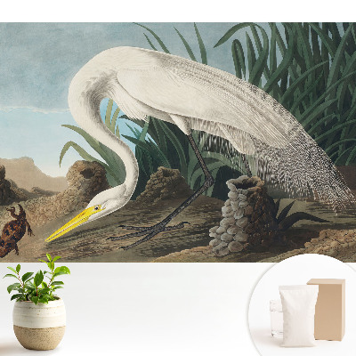 Dekor tapéta Egy gém a fűben