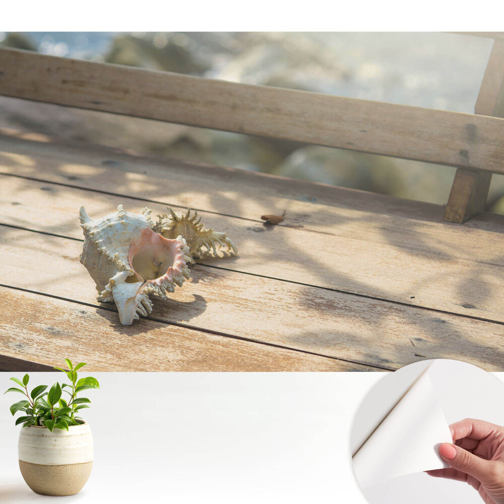 Tapéta Egy kagyló egy fapadon