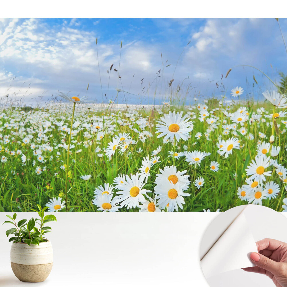 Öntapadós tapéta Egy virágos rét nyáron
