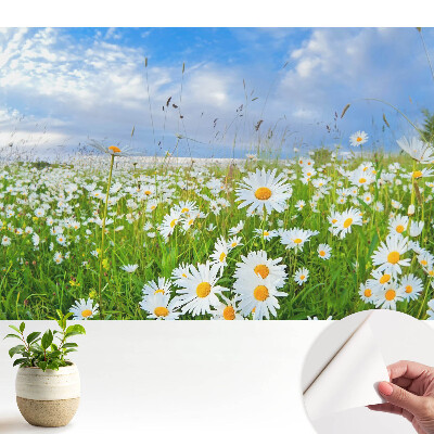 Öntapadós tapéta Egy virágos rét nyáron