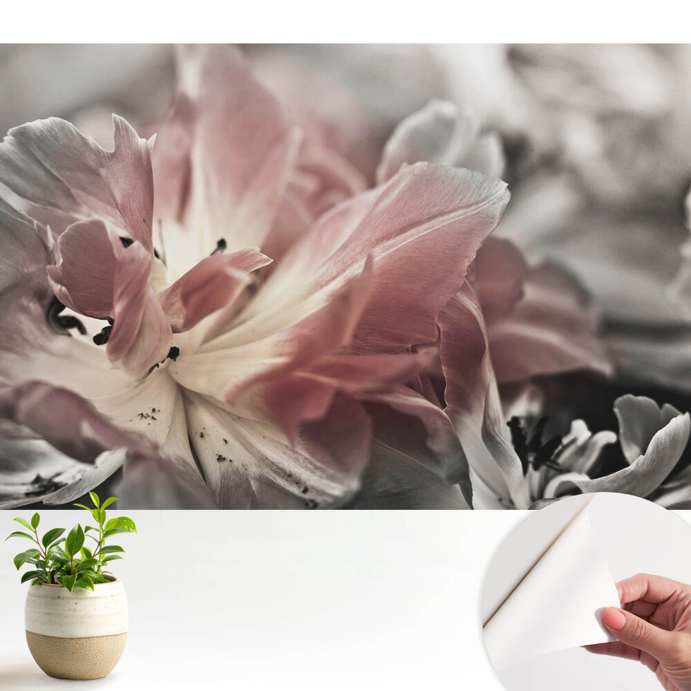 Modern tapéta Finom virágszirmok közeli képe