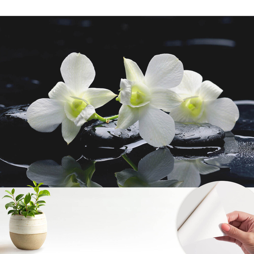 Öntapadós tapéta falra Fehér orchideák köveken.