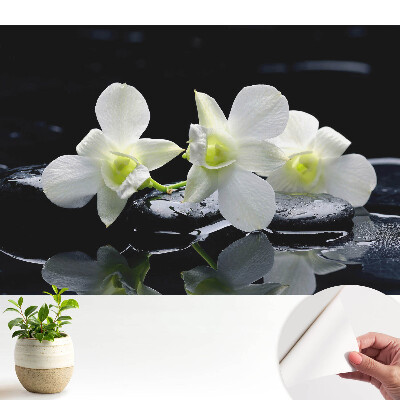 Öntapadós tapéta falra Fehér orchideák köveken.