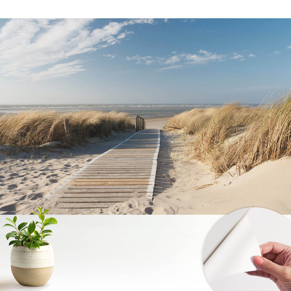 Öntapadós tapéta Tengerparti ösvény a dűnék között