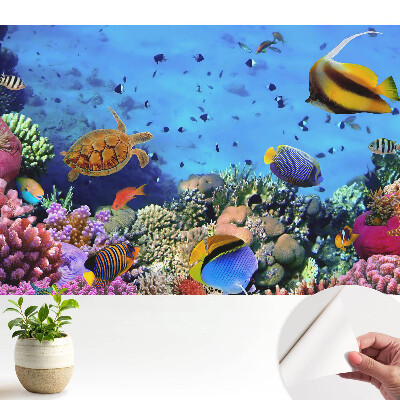 Dekor tapéta Egy színekkel teli víz alatti világ