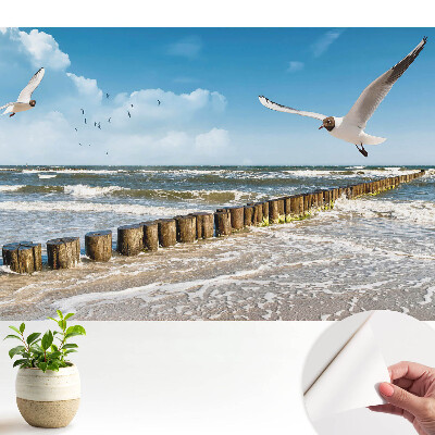 Modern tapéta Sirályok a tenger felett