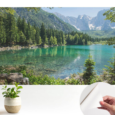 Modern tapéta Természetes szépség és harmónia