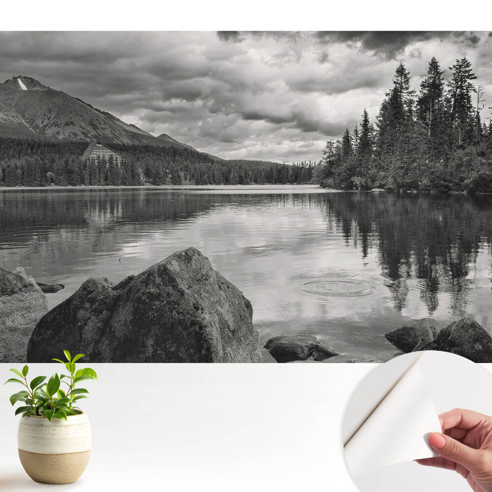 Öntapadós tapéta falra Hegyi táj tófák