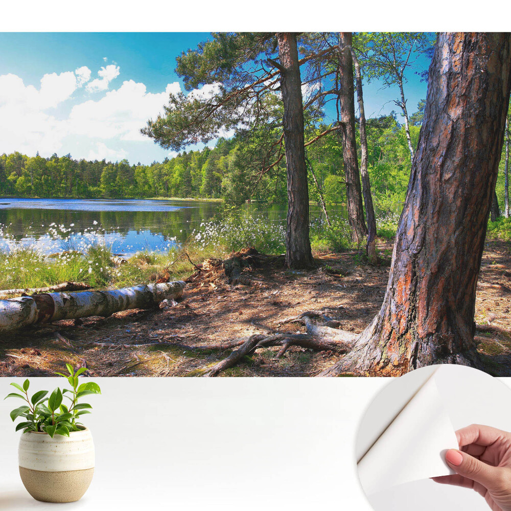 Öntapadó tapéta Erdős táj a tóparton, természetes béke