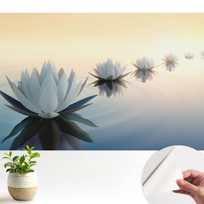 Öntapadós tapéta falra Lótuszvirágok a vízen