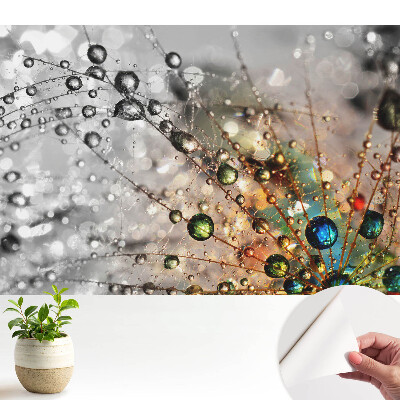 Öntapadós tapéta falra A cseppek színei a pókhálón