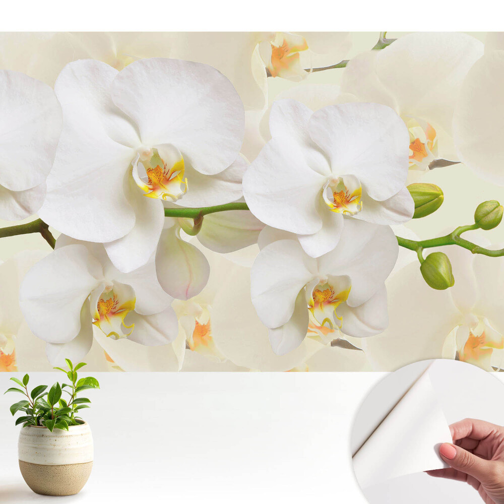 Modern tapéta Fehér orchideák modern stílusú frissesség