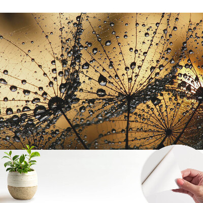 Dekor tapéta Elegáns cseppek a hálón a fényben