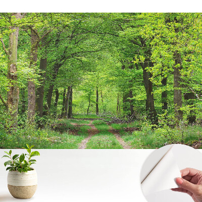 Tapéta Zöld erdő harmonikus táj