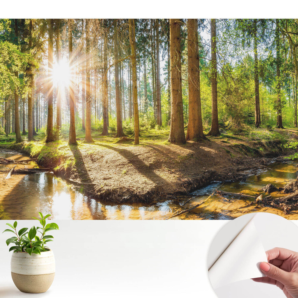 Öntapadós tapéta falra Sugárzó nap erdei tájban