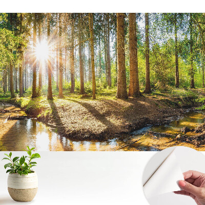 Öntapadós tapéta falra Sugárzó nap erdei tájban