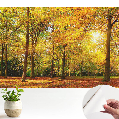 Öntapadó tapéta őszi erdőpanorámával színes levelekkel