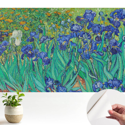 Öntapadó tapéta Lila íriszek egy zöld kertben