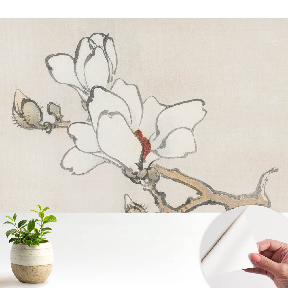 Öntapadós tapéta falra Klasszikus magnóliák tintával