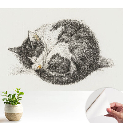 Dekor tapéta Alvó cica központi illusztráció