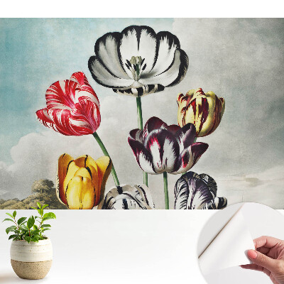 Modern tapéta Tulipáncsokor, klasszikus elegancia