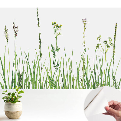 Tapéta Vadvirágok és füvek akvarell természet harmóniája