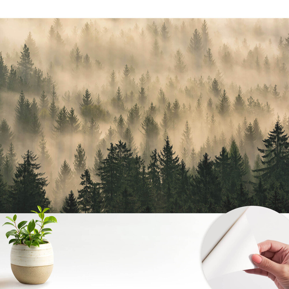 Modern tapéta Erdő a reggeli ködben