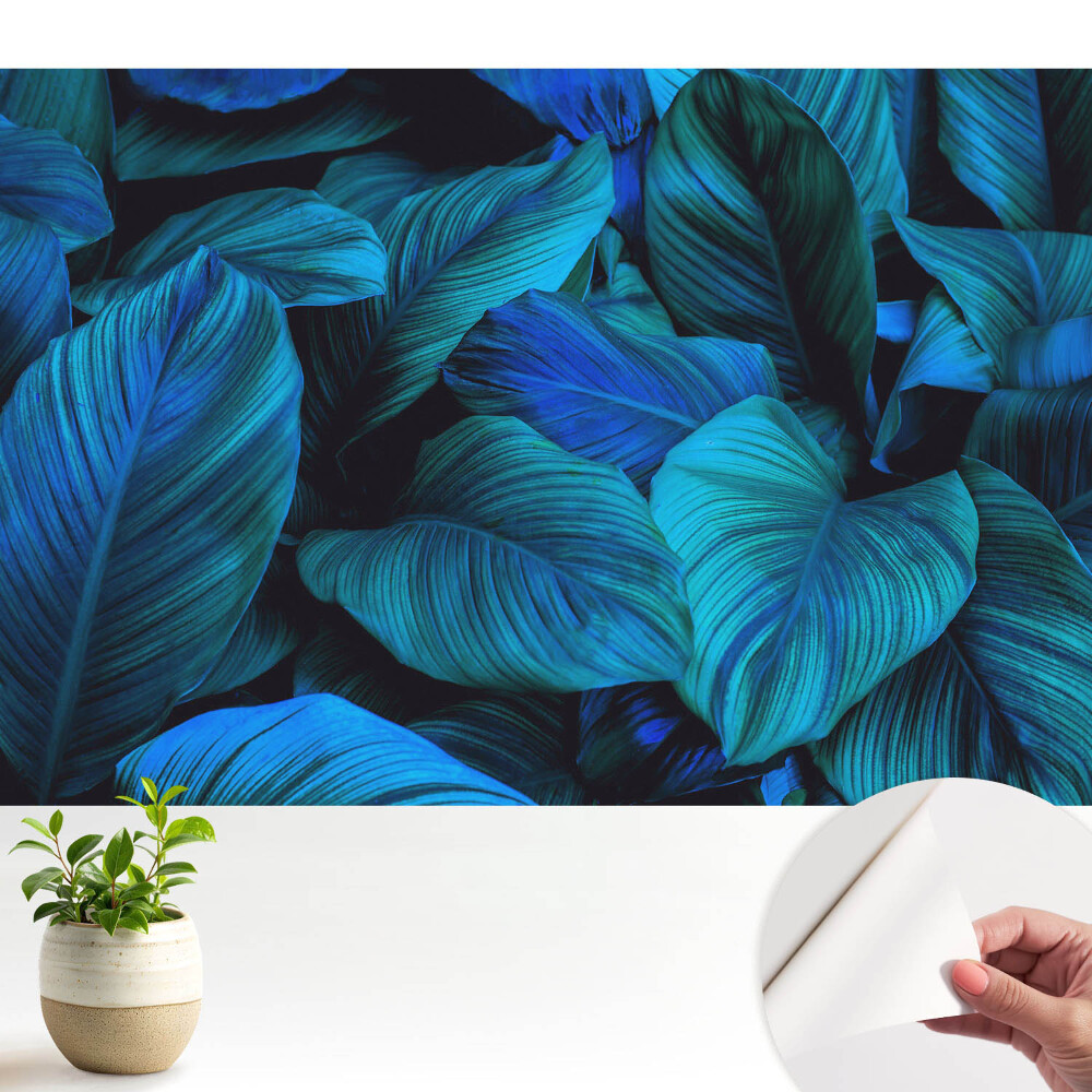 Öntapadós tapéta Kék levelek természet mélysége