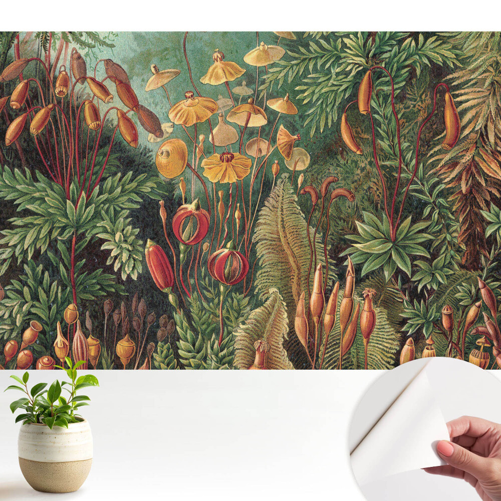 Öntapadós tapéta falra Egzotikus növényzet harmonikus kompozícióban