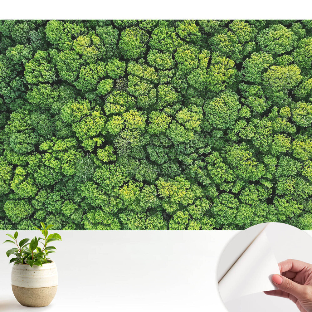 Öntapadós tapéta falra Zöld erdő felülről