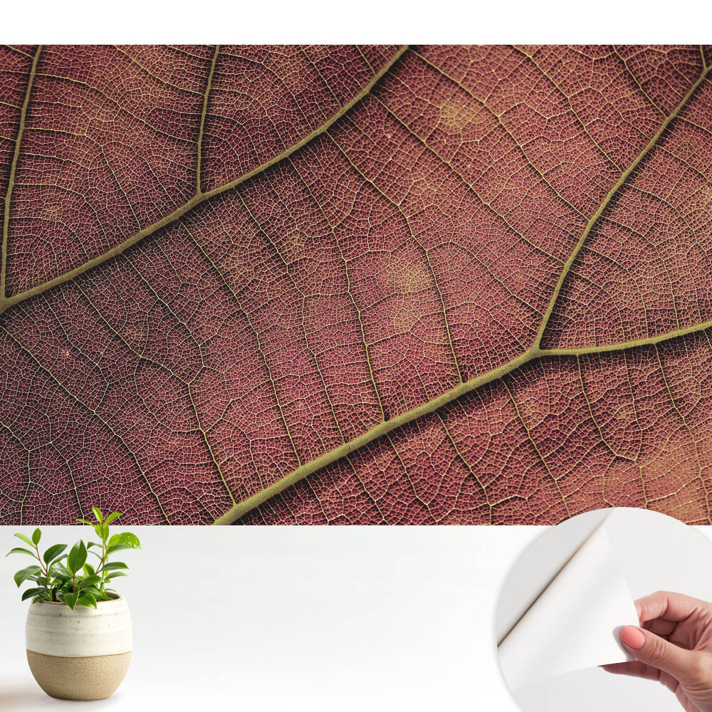 Öntapadó tapéta A levél szerkezete tele van részletekkel és színekkel