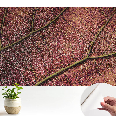 Öntapadó tapéta A levél szerkezete tele van részletekkel és színekkel