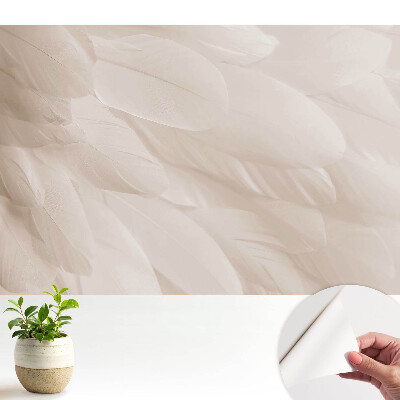 Tapéta Finom tollak harmonikus kompozíciója