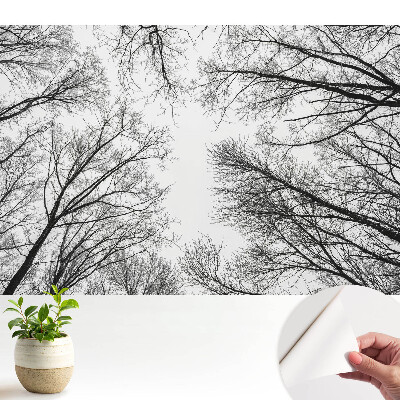 Öntapadós tapéta Fekete-fehér téli fák