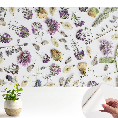 Öntapadós tapéta Szárított virágok fehér alapon