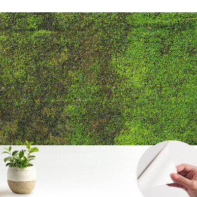 Öntapadós tapéta falra Moha szerves textúra