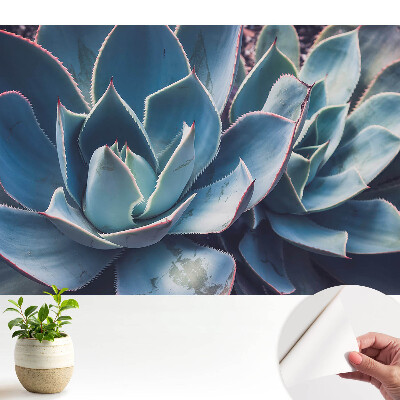 Öntapadós tapéta A pozsgás levelek szimmetrikus minimalizmust alkotnak