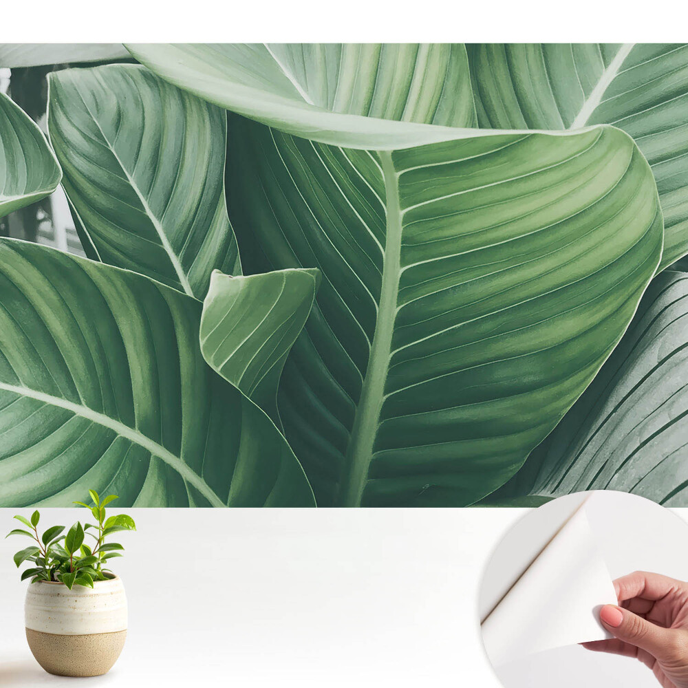 Öntapadós tapéta Zöld levelek természet harmónia modernitás