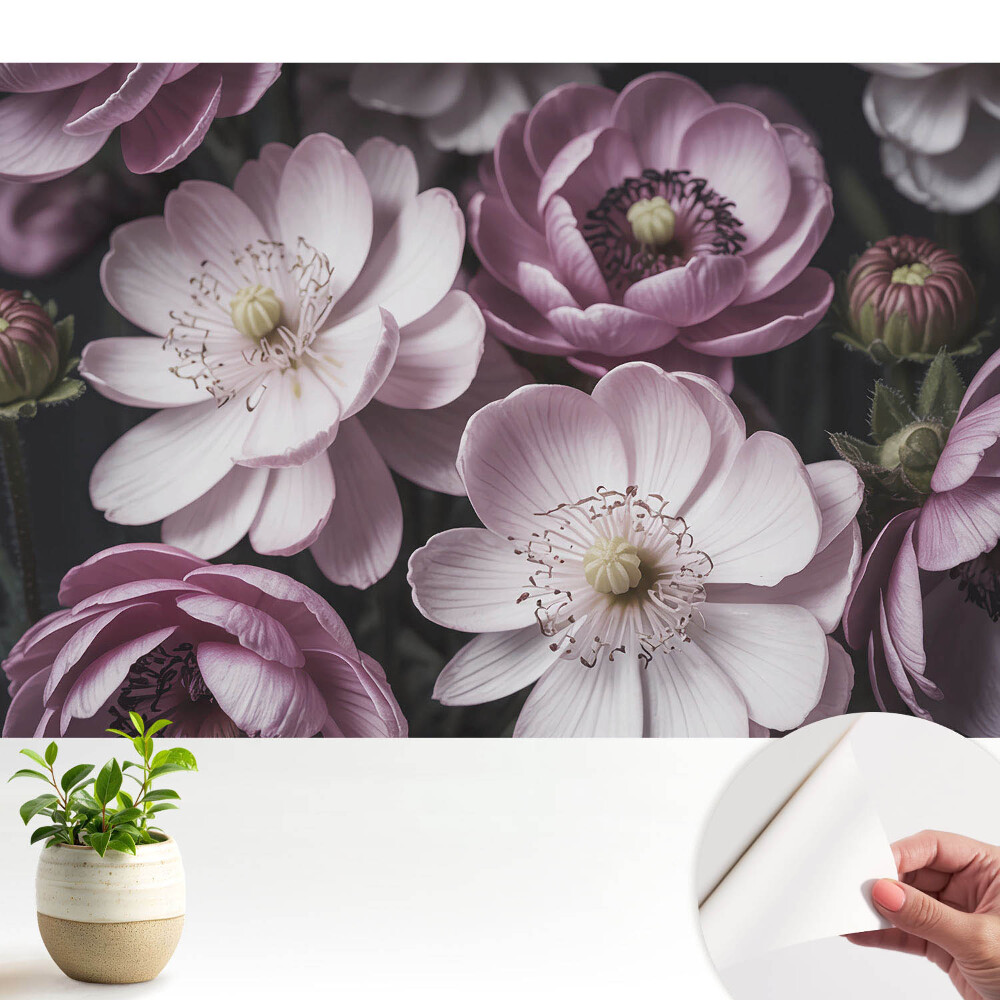 Tapéta Rózsaszín és fehér virágok, klasszikus és elegáns