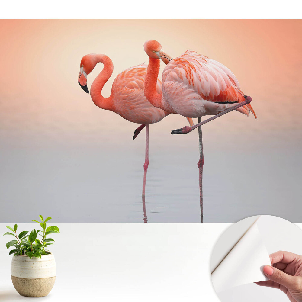 Öntapadó tapéta Flamingók pasztell háttérrel