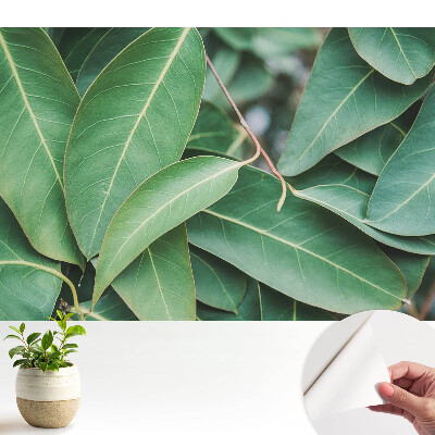 Tapéta Zöld levelek minimalista stílusú harmónia