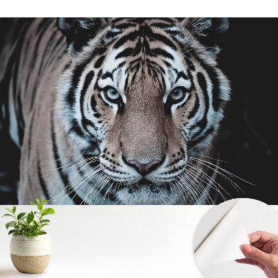 Tapéta Mágnesező tigris dinamikus kompozíció