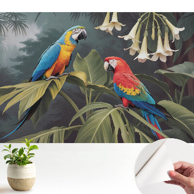 Öntapadó tapéta Trópusi papagájok, egzotikus színek